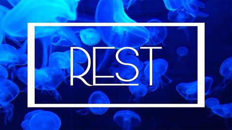 REST | 20 Minutes of Nature & Peaceful Music