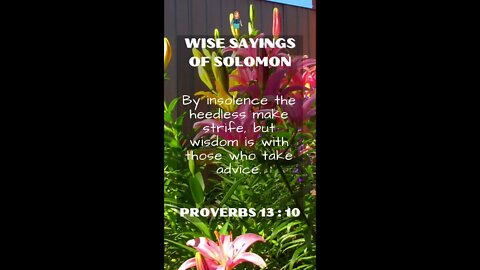 Proverbs 13:10 | Wise Sayings of Solomon