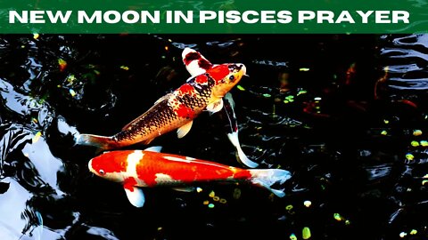 New Moon in Pisces Prayer