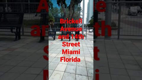 #brickell #miami #sunday