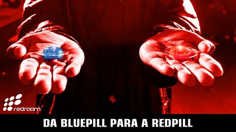 DA BLUEPILL PARA A REDPILL (RACCOONING RACCOON)