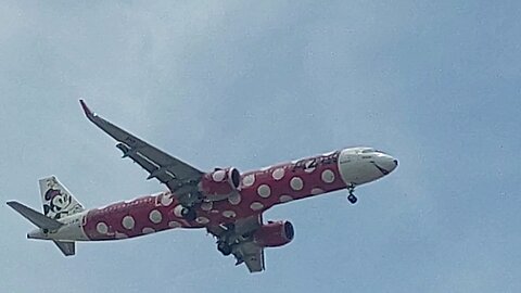 Airbus A321NEO PR-YJE Minnie Mouse coming from Campinas to Fortaleza