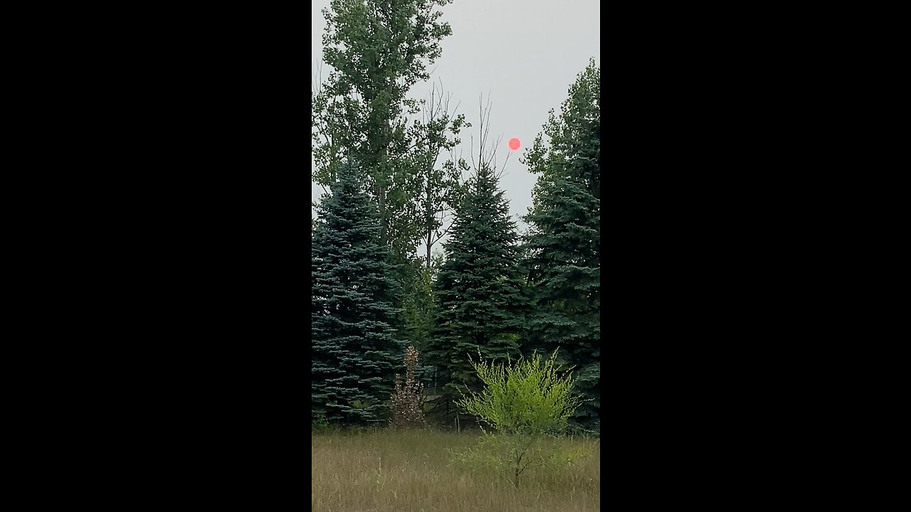 Whoa! Look at that sun!