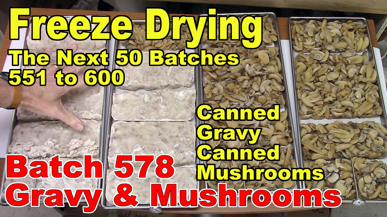 Freeze Drying - The Next 50 Batches - Batch 578 - Sausage Gravy (Canned) and Mushrooms (canned)