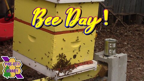 BEE DAY