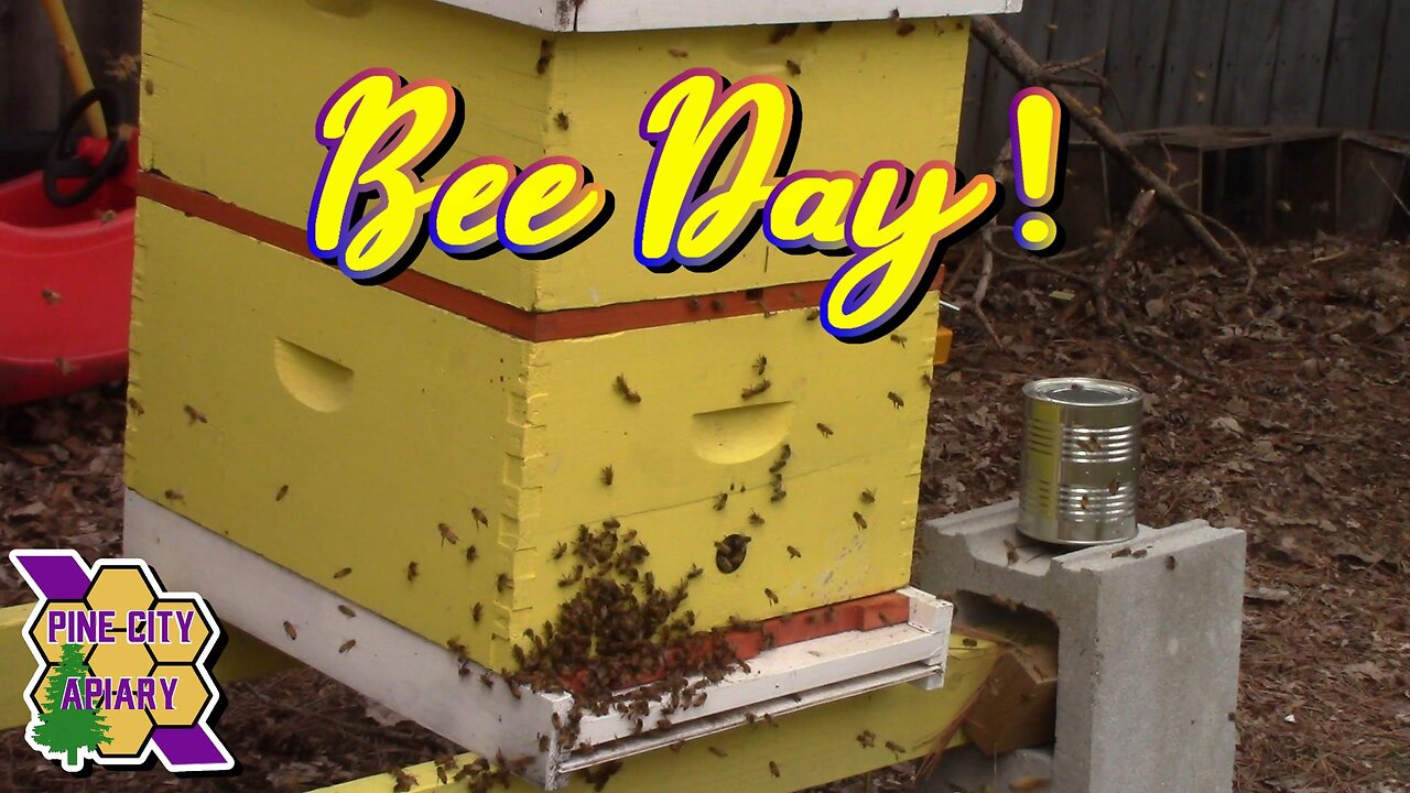 BEE DAY