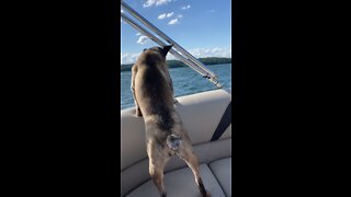 TESS BOAT RIDE ON LAKE LANIER, GA