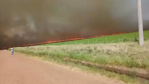 Seca e fogo consomem propriedades e matam animais no RS