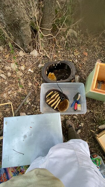 Late swarm rescue from H2O meter box