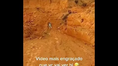 CORRE MAE CUIDADO COM O CACHORRO #memes #viral #fyp #shorts
