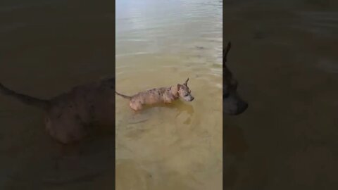 Peak Homeless Life///Van Life on "The Beach"