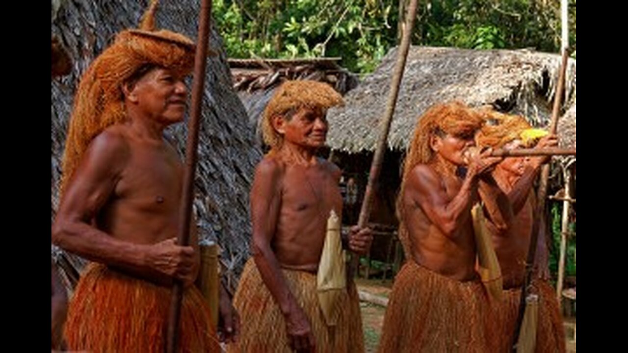 tribe of the amazon