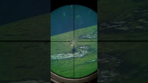 (the hunt call of the wild) Crash landing!
