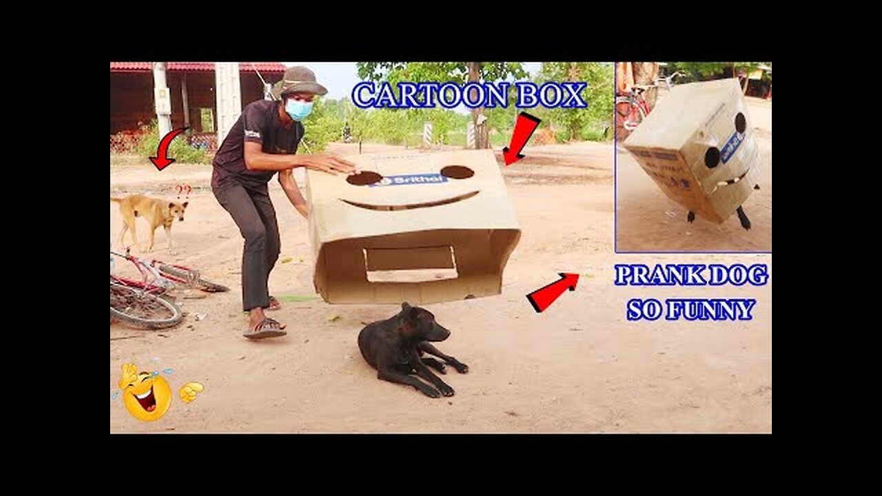 WHEN DOG WAS SLEEP AND THEN 😂/SLEEPING DOG PRANK 2023