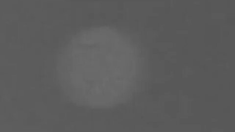 Orb flys behind the trees