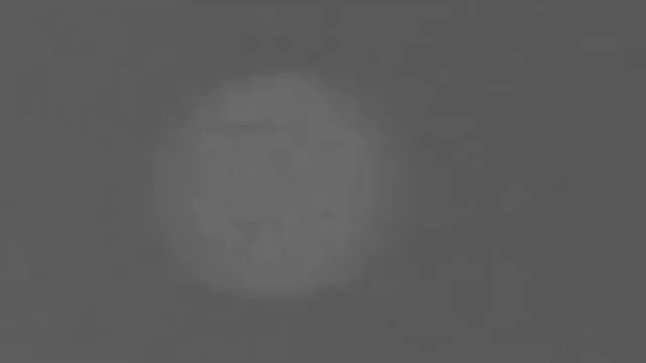 Orb flys behind the trees