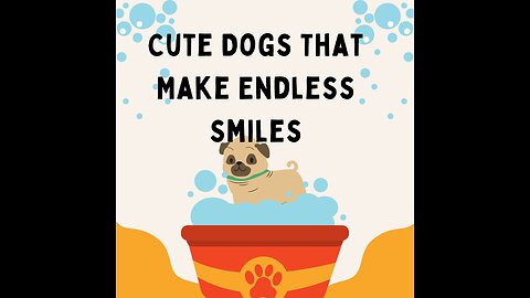 Cute Dogs That Make Endless Smiles