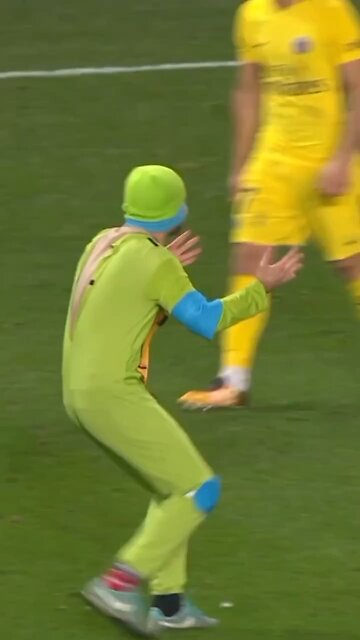 Funniest fans 😂 (short video)