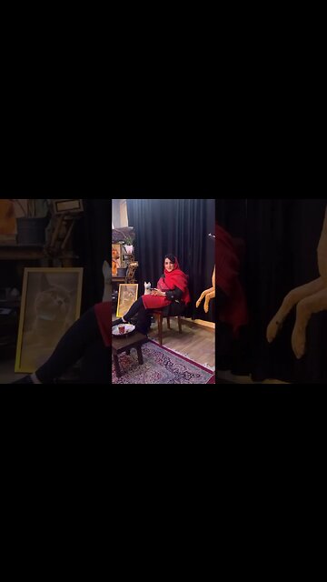 Trained dog and guest A trained dog is polite Friendship of the dog with the guest سگ تربیت تیدا سگ