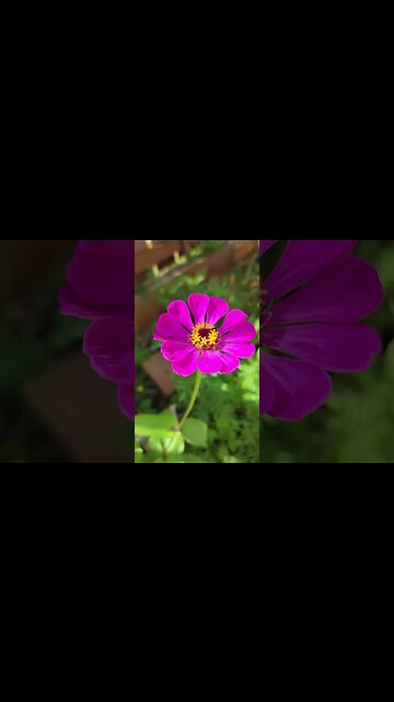 Chance Meeting: Romantic Comedy: The Worst Vacation Crush