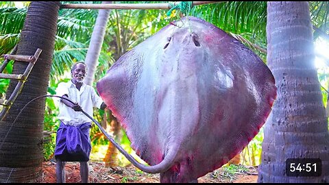 150 KG Monster size Elephant Stingray Fish Cutting Skill