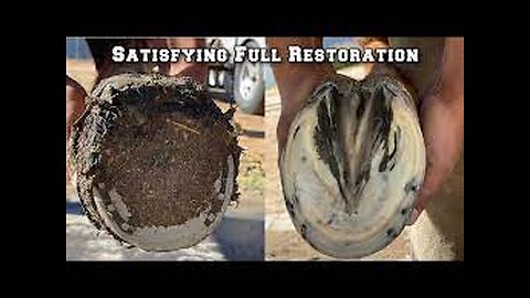 Hoof Restoration Start to Finish - Farrier ASMR - Satisfying