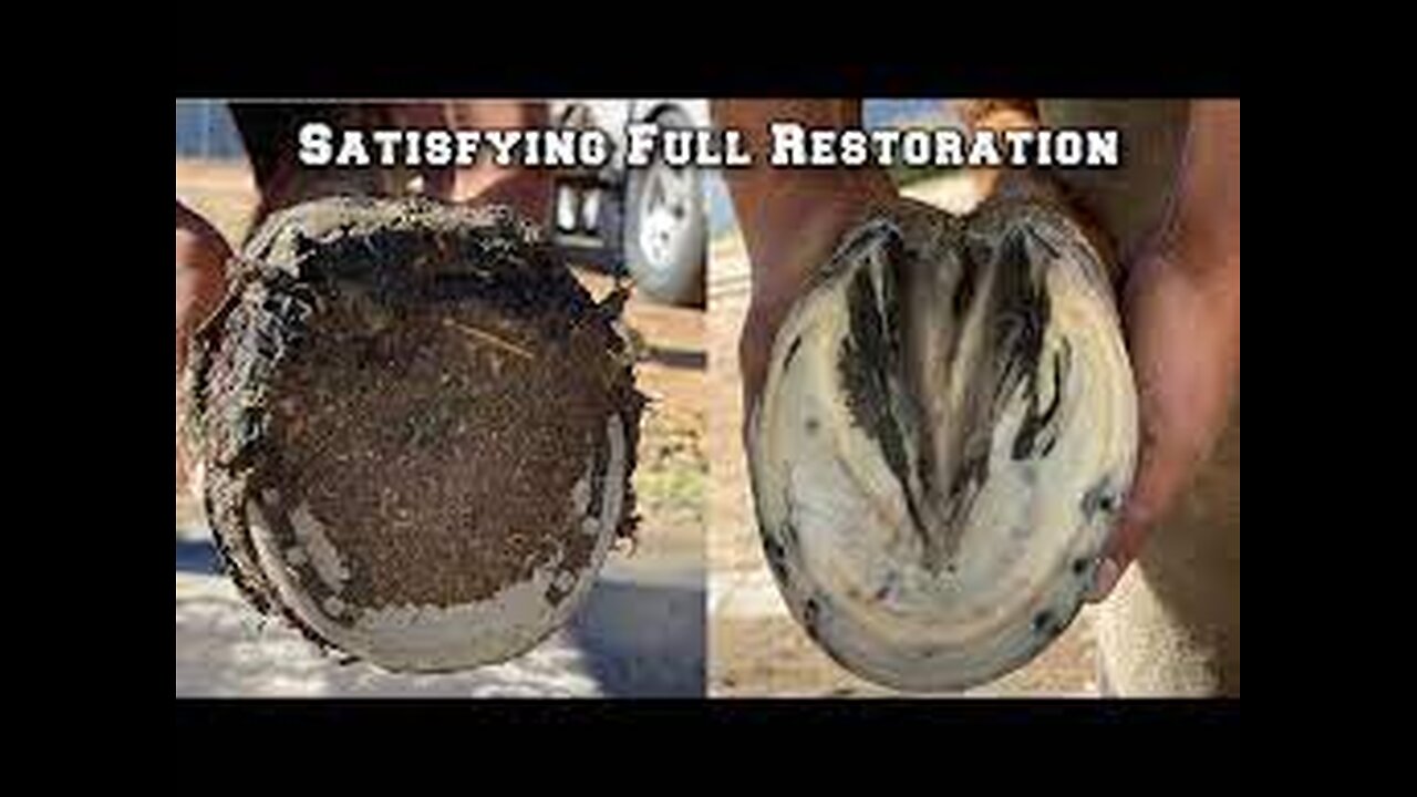 Hoof Restoration Start to Finish - Farrier ASMR - Satisfying