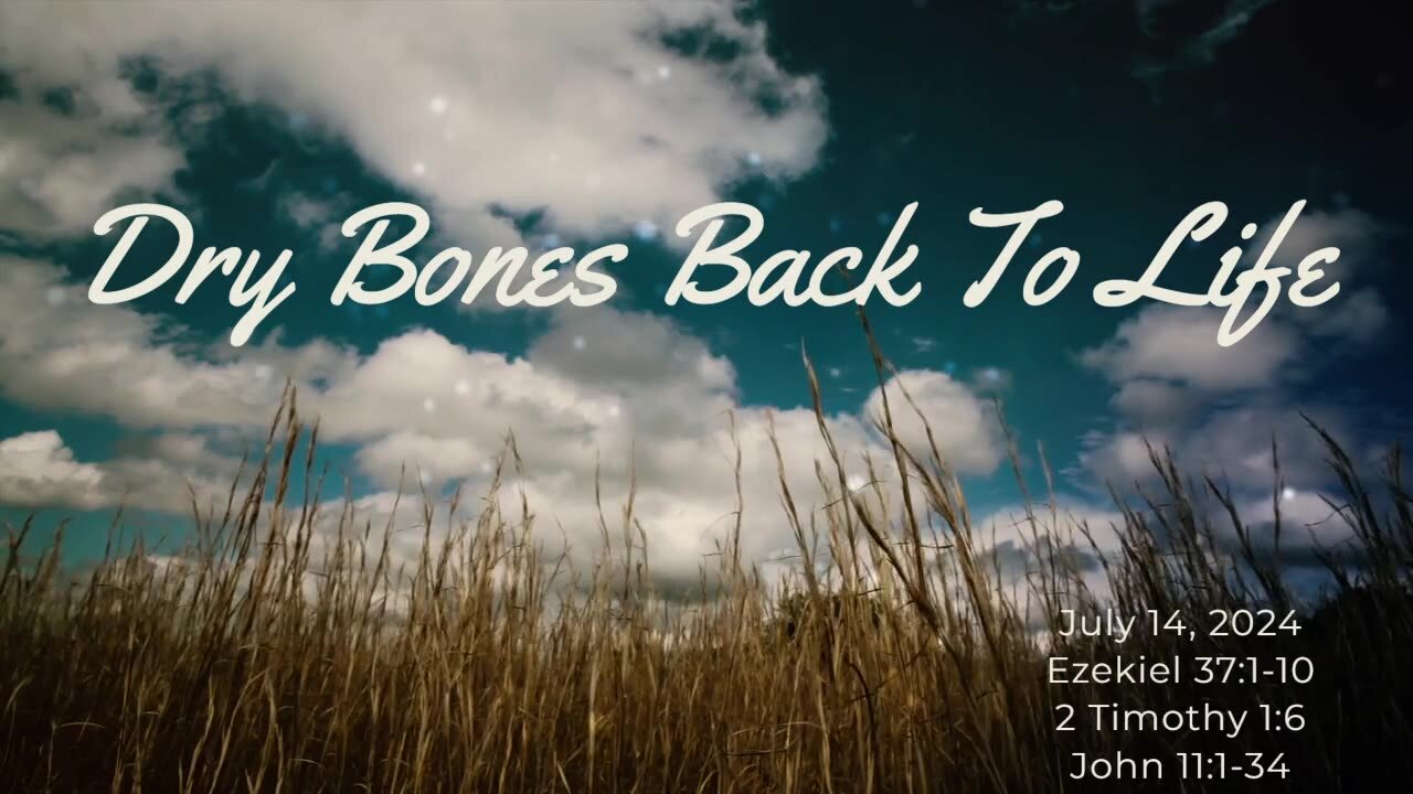 Dry Bones Back To Life