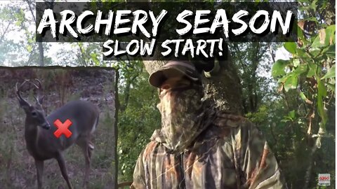 Deer Hunting in Georgia (Bow Season 2019)