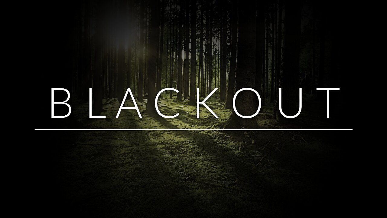 Nature Sounds | Birdsong in a Forest - Blackout | 8 Hours