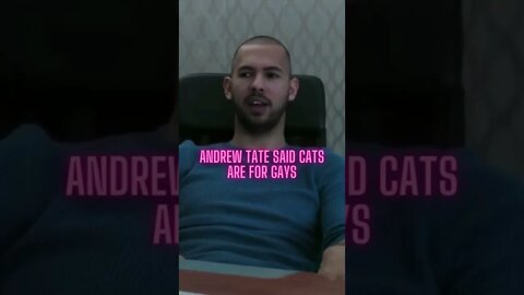 Andrew Tate said cats are for gays #Shorts