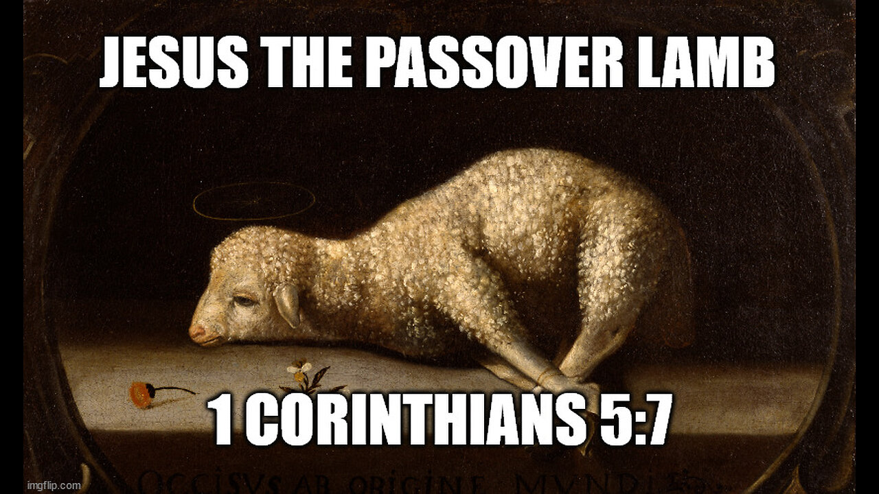 Jesus the Passover Lamb: The Perfect and Sinless Sacrifice