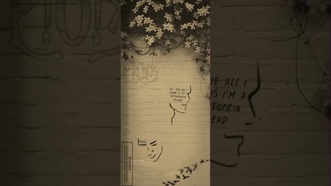 2nd chances, kid, P!O!S