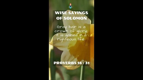 Proverbs 16:31 | NRSV Bible | Wise Sayings of Solomon