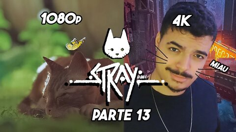 O JOGO DO GATO - Stray- PARTE 13