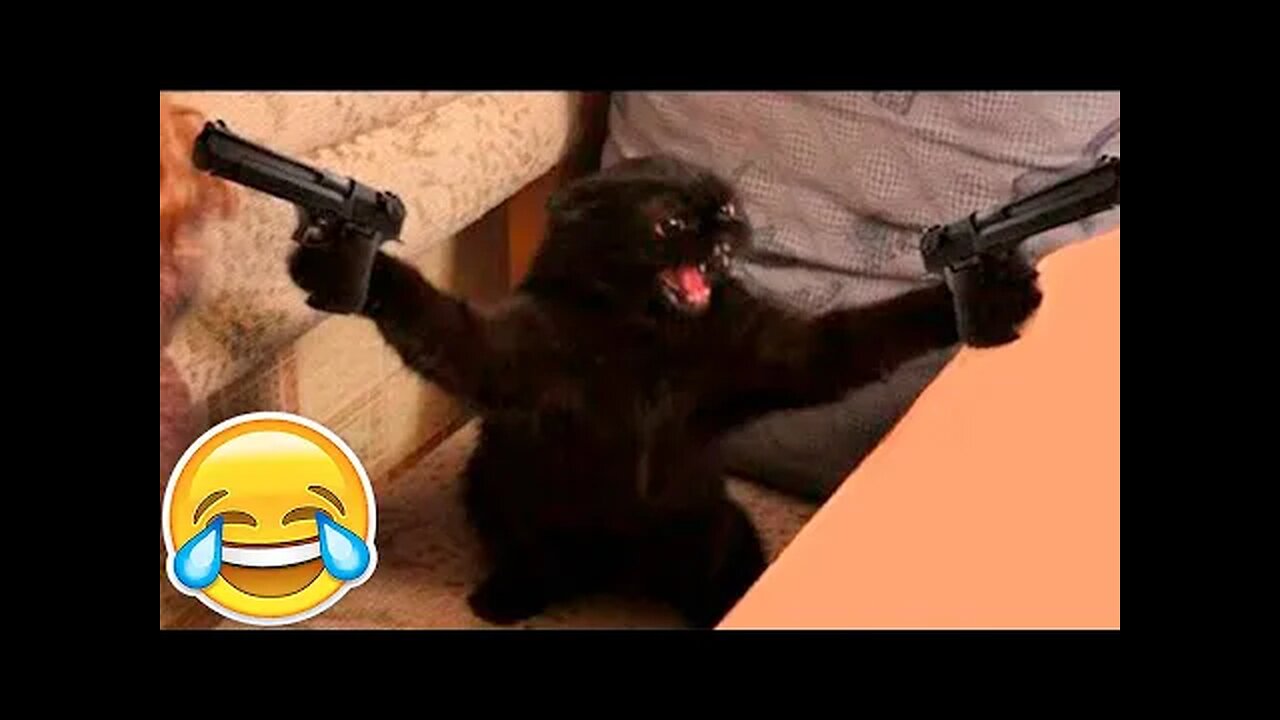 New Funny Animals 😂 Funniest Cats and Dogs Videos 😺🐶 Pets 🐶 Cutest animals little animals