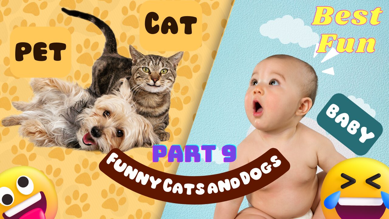 Funniest Animals 😂 Funny Cats and Dogs 2023 😺🐶 Part 9