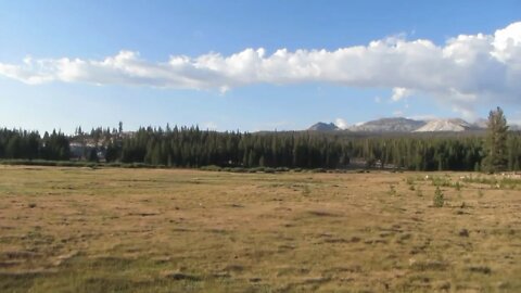 Tuolumne Meadows, Yosemite National Park