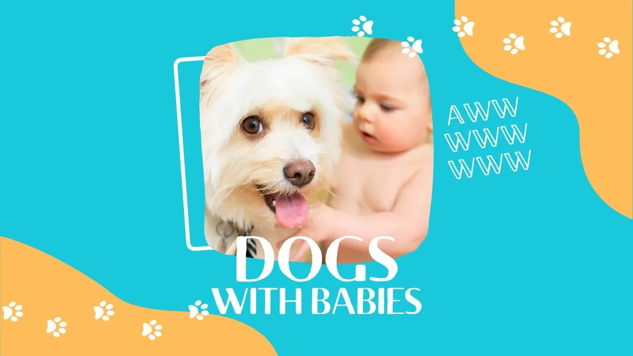 Adorably Cute Babies Playing With Their Dogs Videos Compilation 2022 - Awwwwww