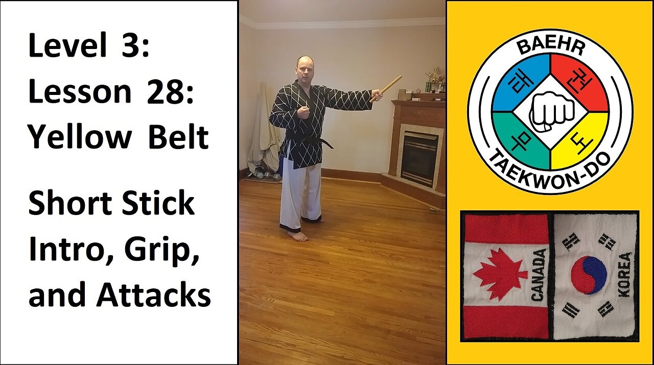 Baehr Taekwondo: 03-28: Yellow Belt: Short Stick - Overview, Grip, and Attacks