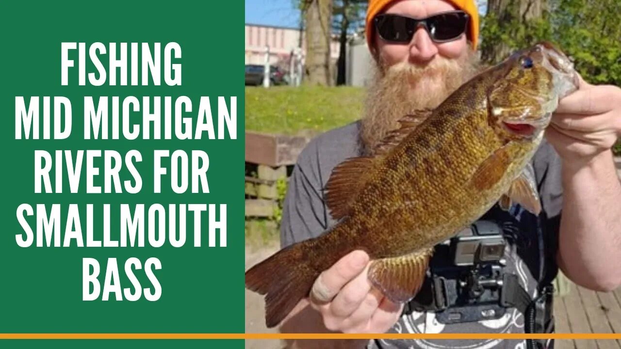 How To Fish Mid Michigan Rivers For Smallmouth Bass / Smallmouth Bass Fishing With Lures