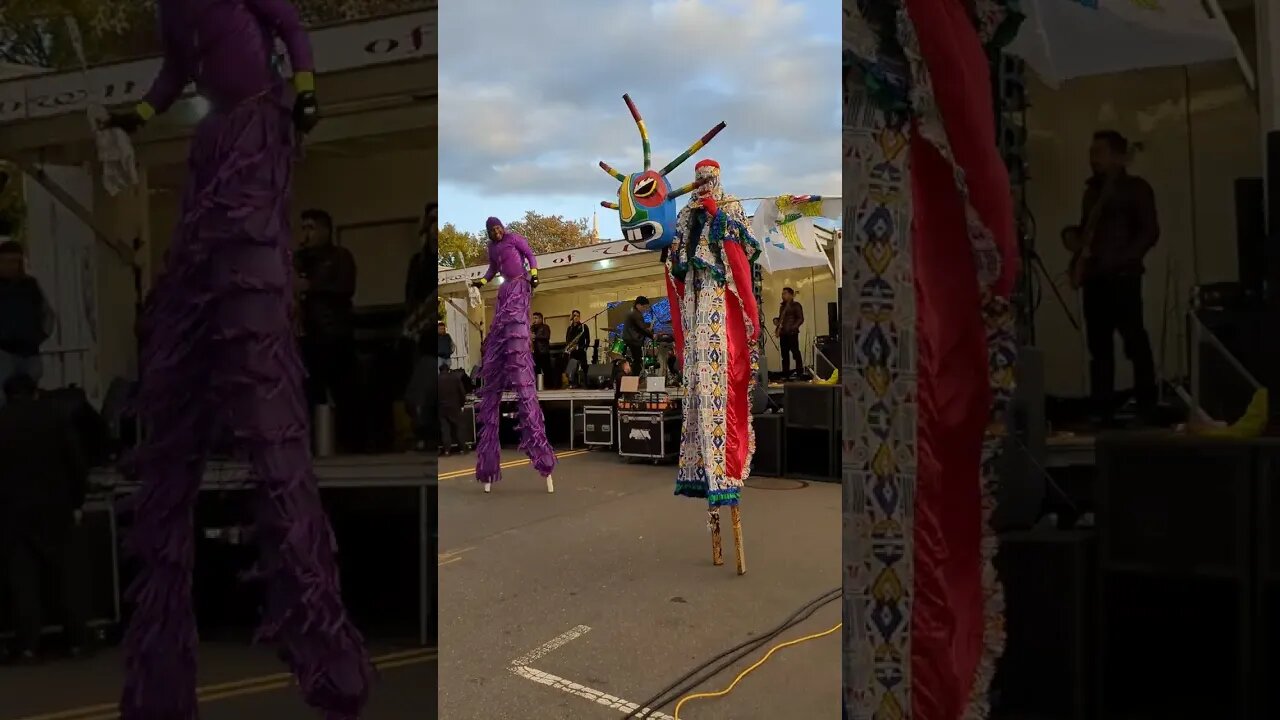 the muti cultural festival in roselle
