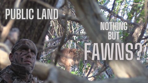 Hunting on PUBLIC LAND again - Brushing off the Hunting Rust!