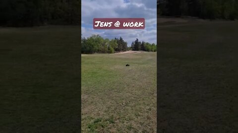 XMaxx high jump