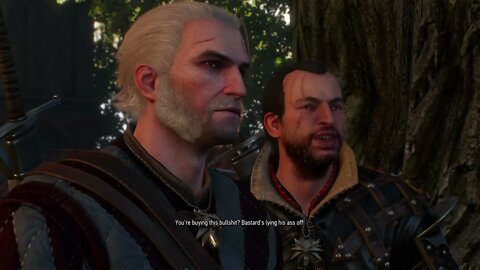 The Witcher 3: Wild Hunt Part 73-Saving A Life