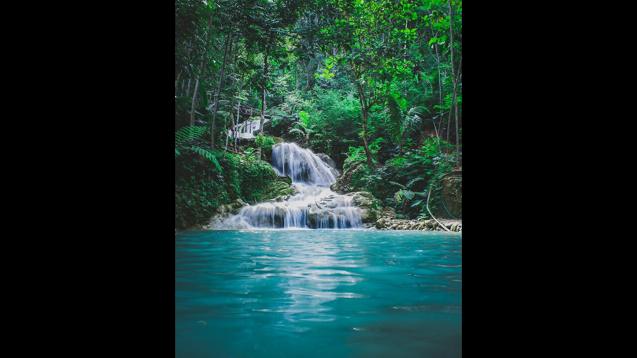 Soothing Rain Forest