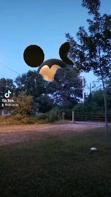 Never smoking weed with Willie again... 😂😂😂