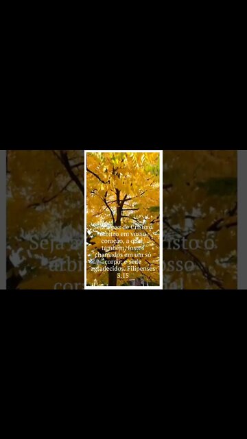 VERSÍCULO DO DIA 01/09/2022.#shortsyoutube