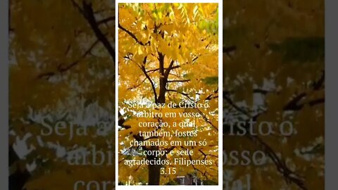 VERSÍCULO DO DIA 01/09/2022.#shortsyoutube