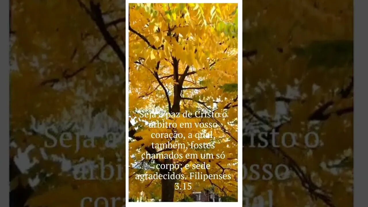 VERSÍCULO DO DIA 01/09/2022.#shortsyoutube